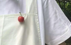 昨日重现