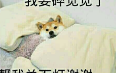 一品茶话之秋夜望月