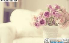 谎言象一把盐-徐彩琴散文精选