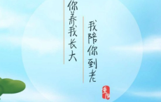 林小娴散文集选-林小娴散文精选