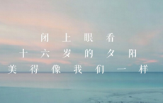 雪小禅散文选-雪小禅散文精选