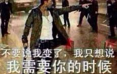 张抗抗散文集-张抗抗散文精选