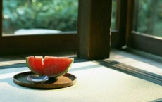 游庐山日记-徐霞客散文精选