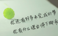谈梵高-吴冠中散文精选