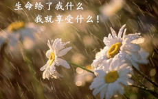 游雁宕山日记-徐霞客散文精选