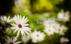 隋代诗人孔绍安简介