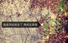 先秦诗人庄子简介