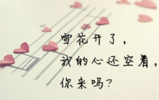 《自得之场》-亦舒散文精选