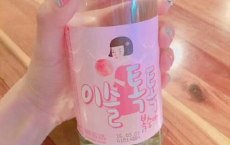 我的处世哲学-王蒙散文精选