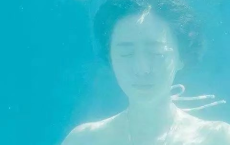 宋代诗人叶绍翁简介