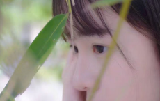 晋代诗人陆机简介