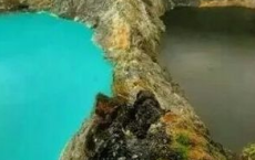 人生贵在行胸臆-周国平散文精选