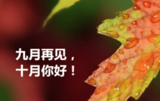 扬州的夏日-朱自清散文精选