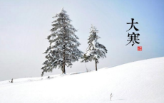 病隙碎笔3-史铁生散文精选