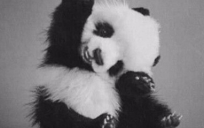 说死说活(一)-史铁生散文精选