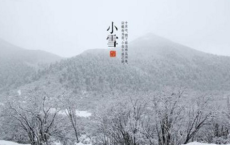 桐花-席慕容散文精选