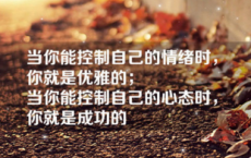 我的老师们-admin散文精选