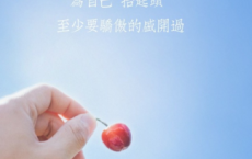 鸟.-梁实秋散文精选