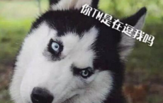 消失的天堂时光-郭敬明散文精选