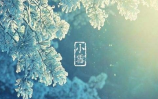山楂树-海子散文精选