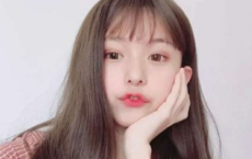 黄四娘家花满蹊，千朵万朵压枝低全诗的意思_上句下句
