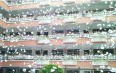同居长干里，两小无嫌猜全诗的意思_上句下句