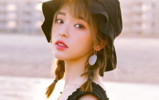 风雨不动安如山！呜呼全诗的意思_上句下句