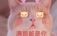 女孩子的花（转载）-唐敏散文精选