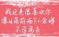 浴着光辉的母亲-林清玄散文精选
