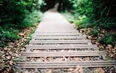 戎马关山北，凭轩涕泗流全诗的意思_上句下句