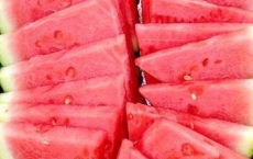 春风桃李花开日，秋雨梧桐叶落时全诗的意思_上句下句