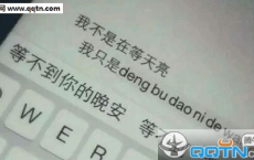 转轴拨弦三两声，未成曲调先有情全诗的意思_上句下句
