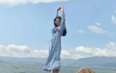 艰难苦恨繁霜鬓，潦倒新停浊酒杯全诗的意思_上句下句