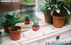 身无彩凤双飞翼，心有灵犀一点通全诗的意思_上句下句