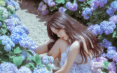 雨中樱花的优美句子 描写樱花美丽淡雅诗句