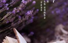 适合发表心情的唯美短句子 适合发快手的唯美句子