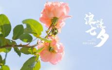 感恩老师的诗句和名言 赞美老师的诗词