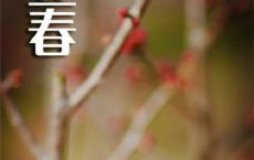 qq空间诗句说说 微信朋友圈的诗句说说大全唯美