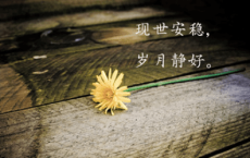 今日大暑文案
