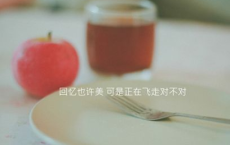 一句话赏梅花心情