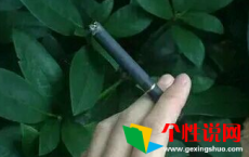 诗人忧国忧民情怀的诗