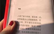 女生节的短句祝福