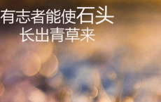 情人节发朋友圈一句话段子搞笑2022