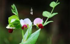 婚礼父亲发言词