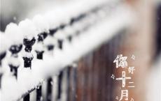 头发剪后发朋友圈的话 美发后的朋友圈心情说说文案