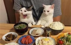 保护眼睛的说说