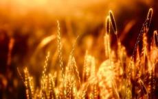 一家人的元宵节说说 2022年元宵节解除疫情的说说
