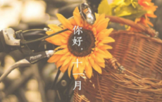 十月十号说说
