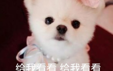 劳动节搞卫生说说