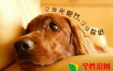 思念的诗句牵挂一个人